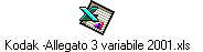 Kodak -Allegato 3 variabile 2001.xls