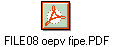 FILE08 oepv fipe.PDF