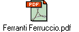 Ferranti Ferruccio.pdf