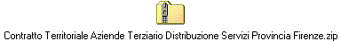 Contratto Territoriale Aziende Terziario Distribuzione Servizi Provincia Firenze.zip