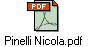 Pinelli Nicola.pdf